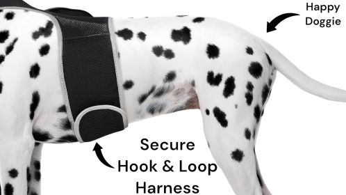 Reputable Water Resilient GPS Tag for Dogs Rechargeable Collar Mount GSM Tracker Size:XXL