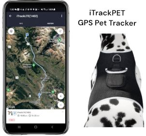 Waterproof Pet Locating Device GSM GPS Dog Cat Collar Tracking Device Size:XXL